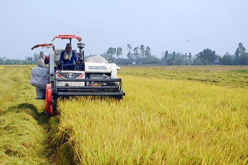 Nguy cơ hạn, mặn trong vụ đông xuân 2021 - 2022 ở khu vực Nam Bộ