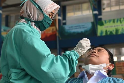 Indonesia dự báo đại dịch COVID-19 sẽ còn kéo dài