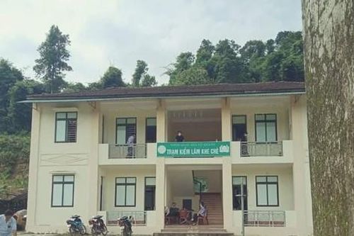 Điều tra nguyên nhân kiểm lâm viên tử vong tại nơi làm việc