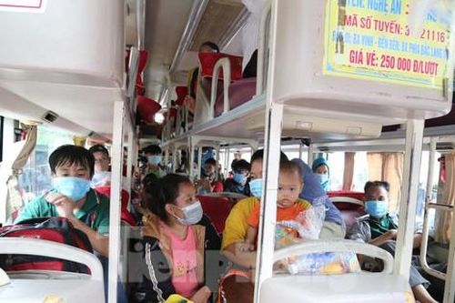 Nghệ An: Xe giường nằm, xe buýt ngày đêm đưa đồng bào về quê