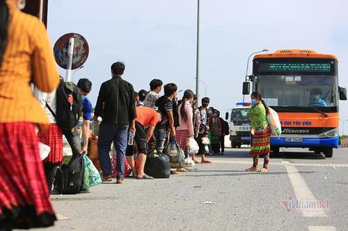 Hà Nội dùng xe buýt đưa gần 2.000 người từ các tỉnh phía Nam về quê