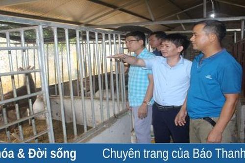 Thành công từ bước đi 'mạo hiểm'
