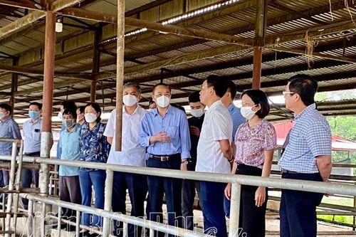 Đoàn công tác Bộ NN&PTNT làm việc tại tỉnh Điện Biên