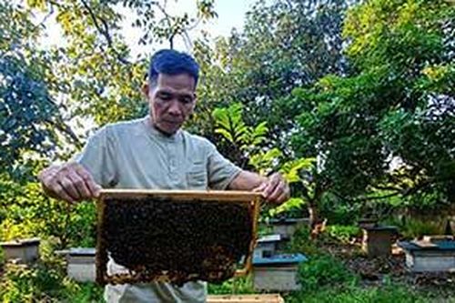 Hòa Sơn: Đẩy mạnh phát triển nghề nuôi ong mậtTin khácVững vàng trên trận tuyến chống 'giặc lửa'Thông tin về đầu mối liên lạc, ứng trực 24/24 giờ hỗ trợ công dân nước ngoài của Sở Ngoại vụ tỉnh Lạng Sơn