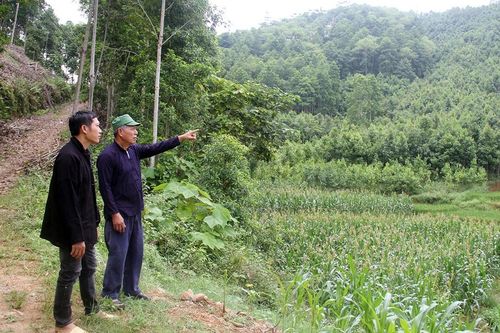 Bài 3 - Gia đình người Dao 'gieo' đổi thay ở Trà Trẩu