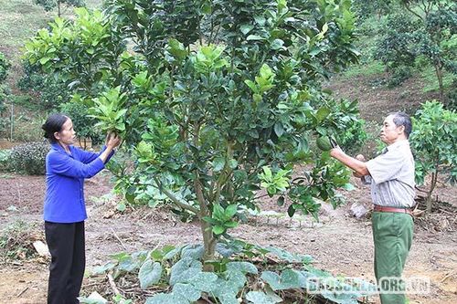Câu chuyện của một thương binh 'tàn nhưng không phế'