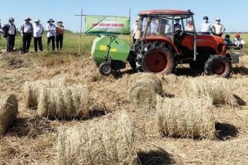 Kinh tế Nông nghiệp - Nông thôn 'Lợi ích kép' từ cuộn rơm sau thu hoạch