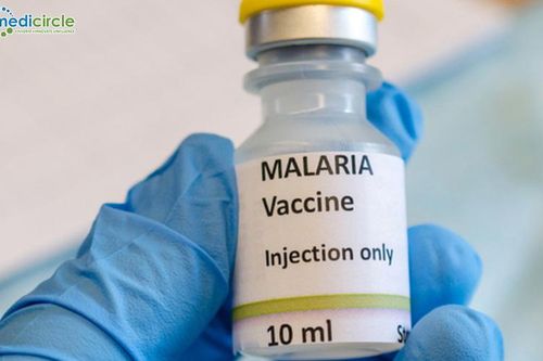 Vaccine phòng sốt rét đầu tiên được WHO cấp phép: Bước tiến lớn trong cuộc chiến chống bệnh sốt rét