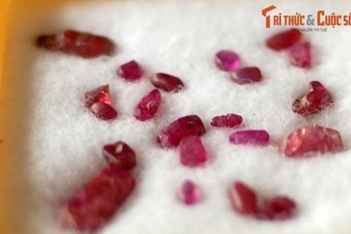 Lóa mắt trước bộ sưu tập đá quý khủng ở Sài Gòn