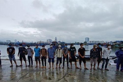 Đưa thuyền viên vào bờ trái phép, 2 chủ tàu bị xử phạt