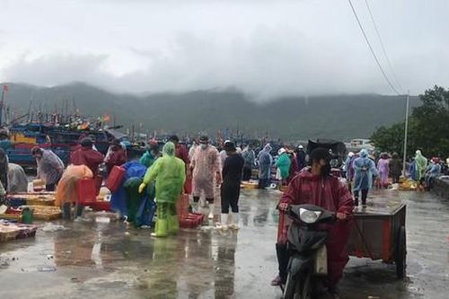 Chợ cá Thọ Quang ngày đón bão