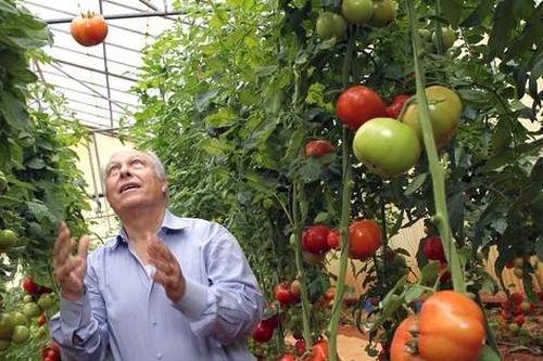 Bí quyết Israel dẫn đầu thế giới về nông nghiệp