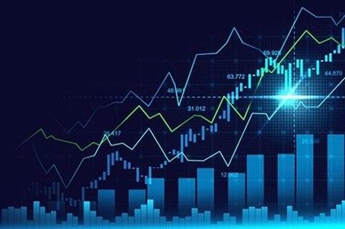 Bẫy đa cấp tiền ảo và những con thiêu thân