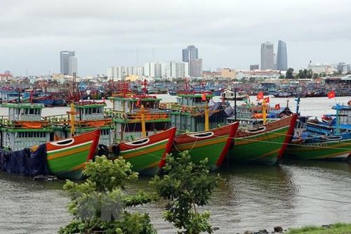 Các tỉnh, thành phố sẵn sàng ứng phó với diễn biến thực tế bão số 7