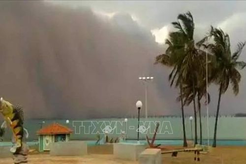 Bão cát mạnh bất thường tại Brazil khiến ít nhất 6 người thiệt mạng
