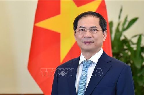 Vai trò của thương mại và phát triển trong ứng phó và phục hồi sau đại dịch