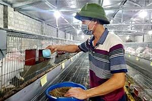 Thực hiện Nghị quyết 08 ở Chi Lăng: Tiếp sức để người dân vươn lênTin khácĐổi mới giáo dục từ ứng dụng công nghệ thông tinVững vàng trên trận tuyến chống 'giặc lửa'