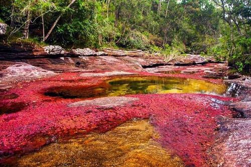 Huyền ảo sắc cầu vồng trên dòng sông đẹp nhất thế giới