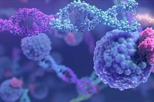 Công trình đoạt giải Nobel hóa học 2021: 'Đũa thần' gieo mầm xanh bền vững