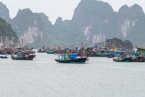 Hải Phòng, Quảng Ninh cấm biển, kêu gọi tàu thuyền vào bờ