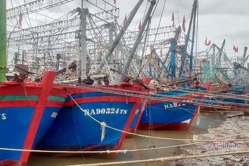 Thái Bình cấm tàu bè ra khơi, Nam Định lên phương án sẵn sàng sơ tán dân
