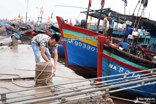 Nghệ An sẽ cấm biển từ 0 giờ ngày 10/10 để ứng phó với bão số 7