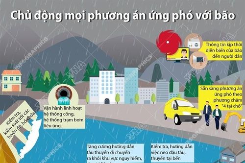 Chủ động mọi phương án ứng phó với bão