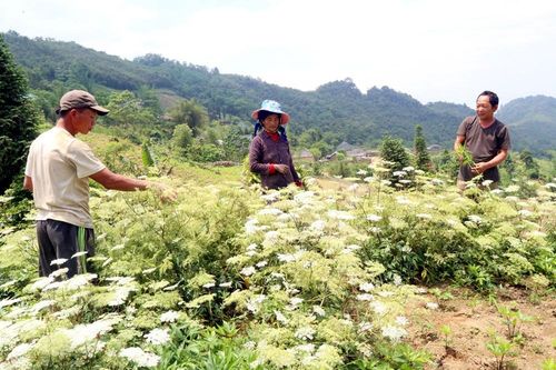 Bài cuối : Viết tiếp bài ca hôm nay và cho mai sau