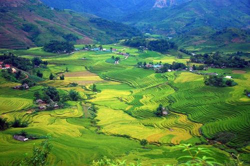 Bát Xát tích cực triển khai Đề án 01, nâng cao thu nhập cho Nhân dân