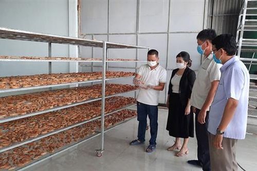 Chuyển hướng làm ăn để duy trì sản xuất hiệu quả