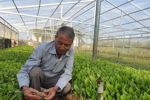 Gieo mầm xanh, ươm hy vọng