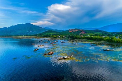 Các khu bảo tồn thiên nhiên có thực sự cần thiết cho thế giới?