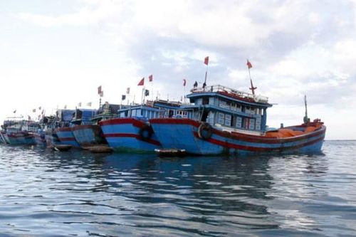 Tàu không chịu vào bờ tránh bão, chờ đủ ngày để được hỗ trợ tiền dầu