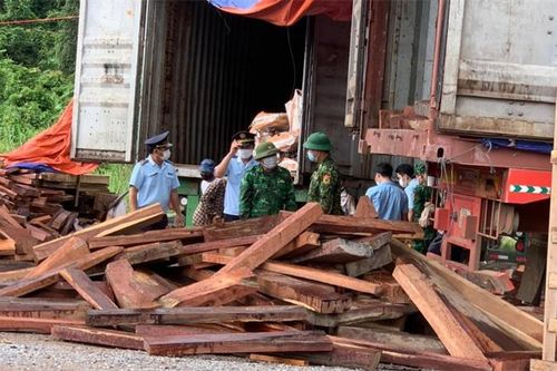 Giấu hàng cấm vào hàng khai báo Hải quan vẫn không thoát