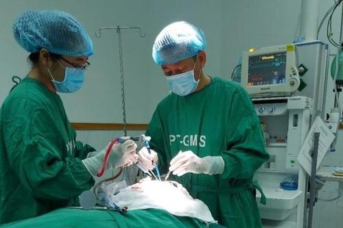 Đắk Lắk: Cứu sống nam thanh niên bị gỗ văng găm lún sọ
