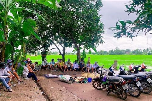 Bạc Liêu: Bắt giữ 17 đối tượng tổ chức đá gà ăn tiền