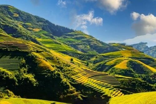 Đẹp nao lòng trên những thửa ruộng bậc thang Tủa Chùa