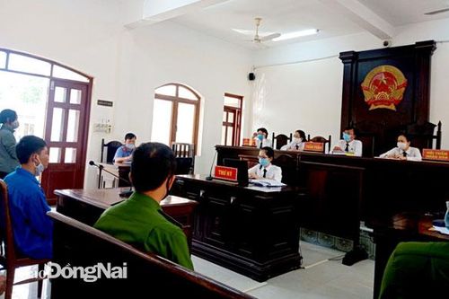 Ngăn ngừa tội phạm xâm hại tình dục