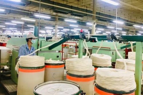 Kinh tế Thông tin thị trường Lợi thế xuất khẩu