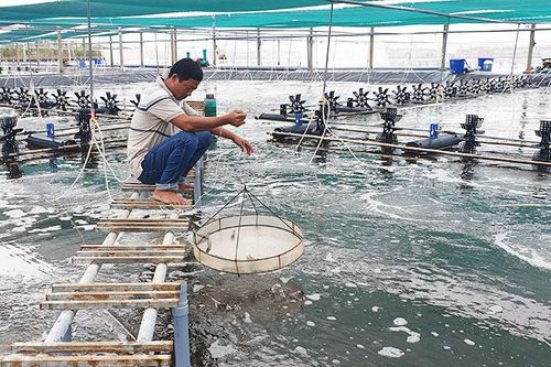Thống nhất cao về nhận thức, tạo động lực hành động