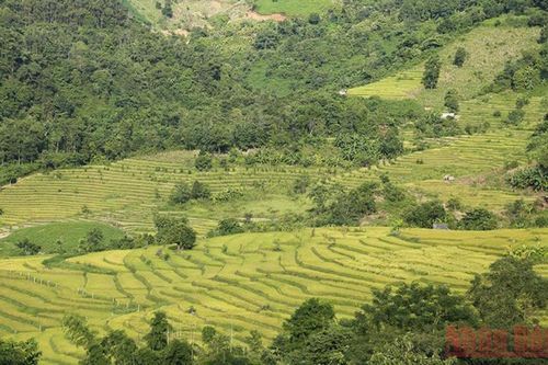 Ruộng bậc thang giữa lòng chảo Điện Biên
