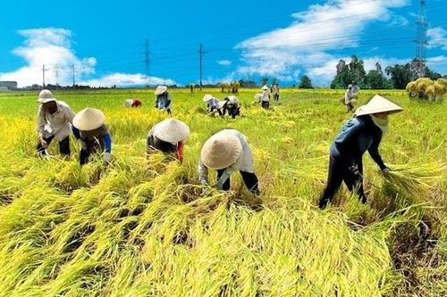 Bất động sản, nông nghiệp, du lịch vẫn sẽ chịu tác động của đại dịch trong dài hạn