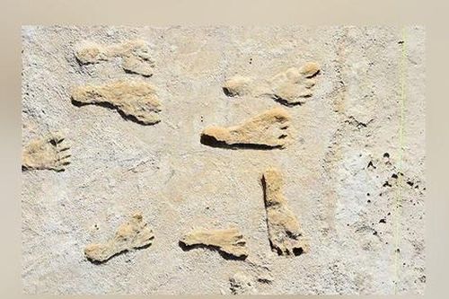 Dấu chân hóa thạch ở New Mexico, bằng chứng rõ ràng nhất về con người sinh sống ở châu Mỹ