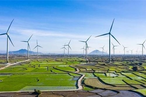 Đến lượt Quảng Trị xin lùi thời hạn áp dụng giá FIT điện gió