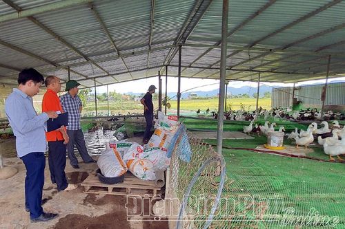 Đẩy mạnh ứng dụng khoa học công nghệ vào sản xuất