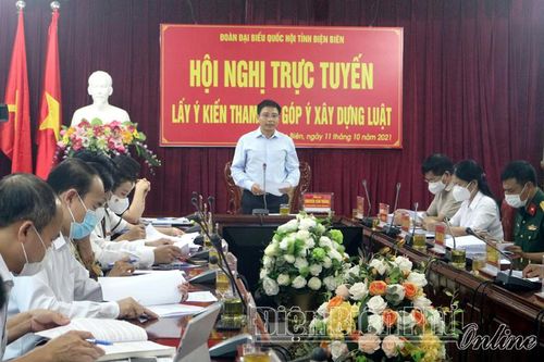 Đoàn ĐBQH tỉnh lấy ý kiến tham gia góp ý xây dựng luật