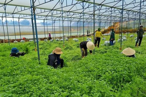 Sức mạnh Đại đoàn kết trong phòng, chống dịch Covid-19 ở Nam Tây Nguyên (Kỳ 1)