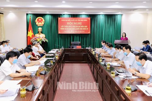 Đoàn ĐBQH tỉnh tổ chức lấy ý kiến góp ý vào các dự thảo luật trình tại Kỳ họp thứ 2, Quốc hội khóa XV