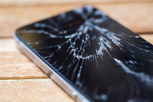 Vỏ sò, cảm hứng tạo nên kính cường lực siêu bền