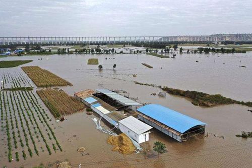 Lũ lụt kinh hoàng tại Trung Quốc: Ít nhất 29 người chết, hàng trăm ngàn người phải đi sơ tán